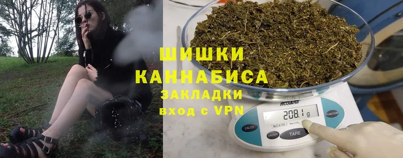 где купить наркоту  Ефремов  Канабис SATIVA & INDICA 